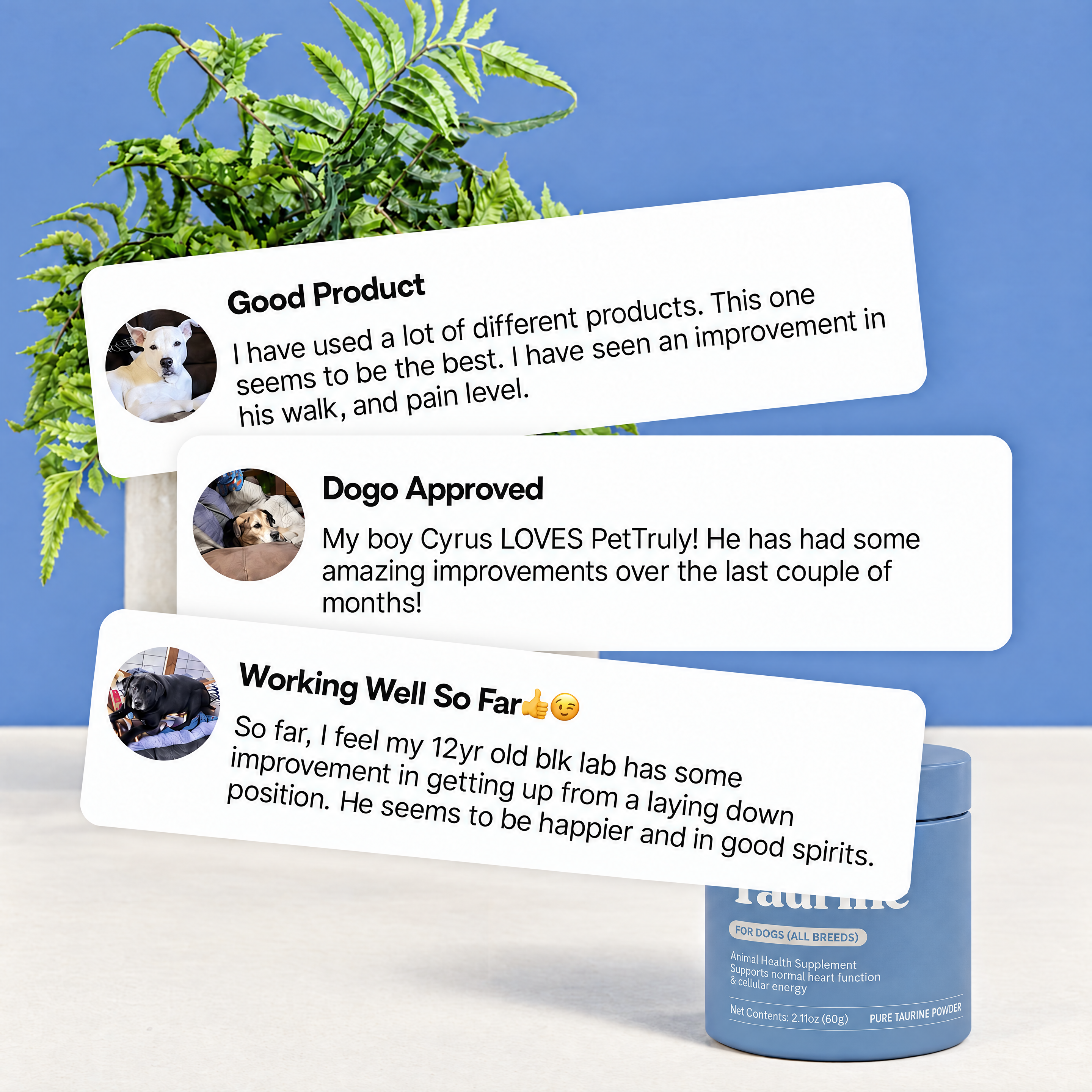 PetTruly™ Taurine