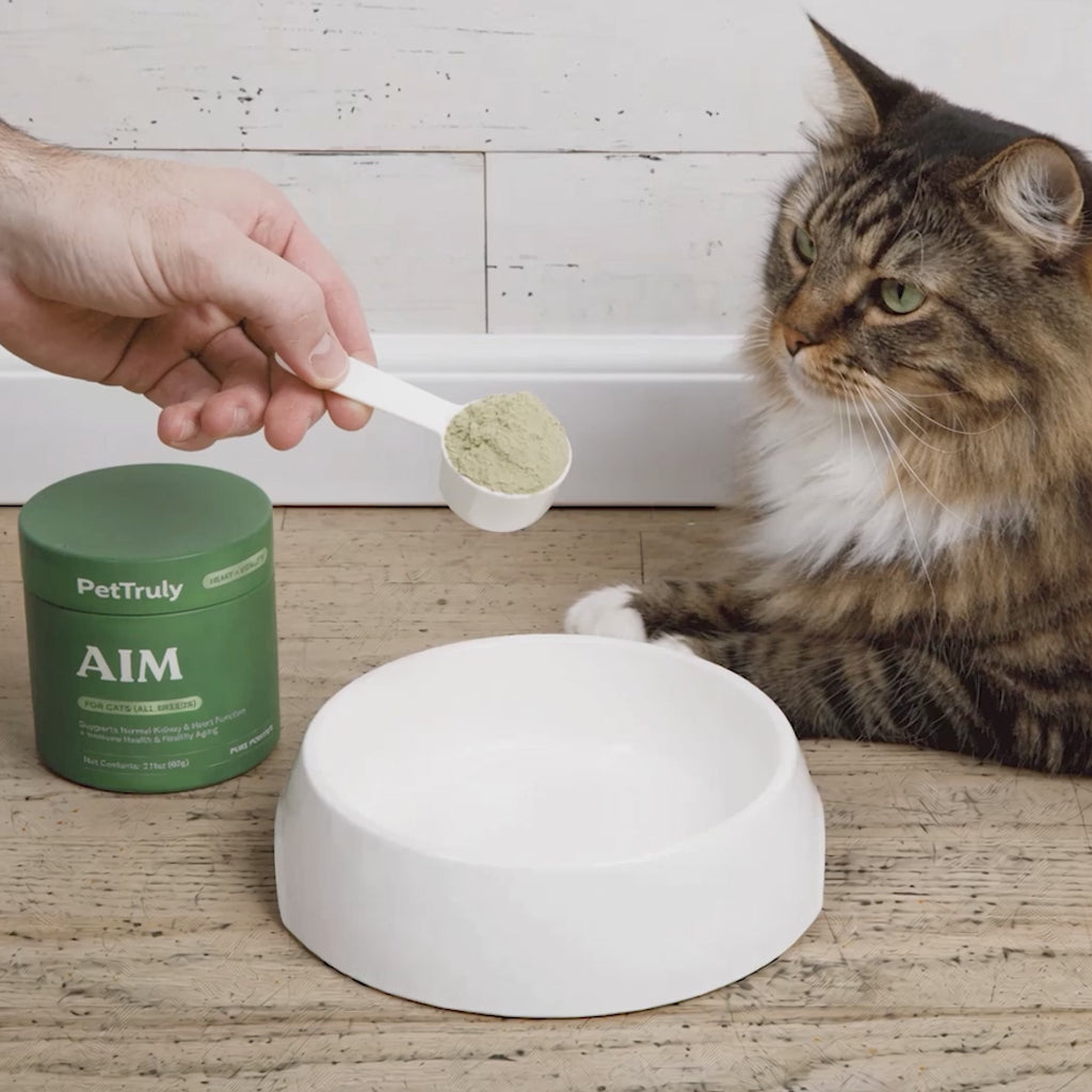 PetTruly™ Aim